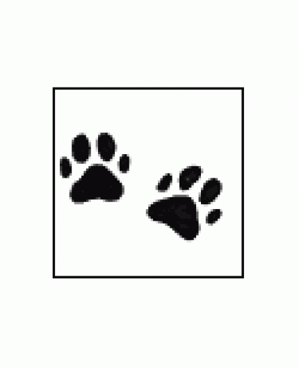 Paw Prints