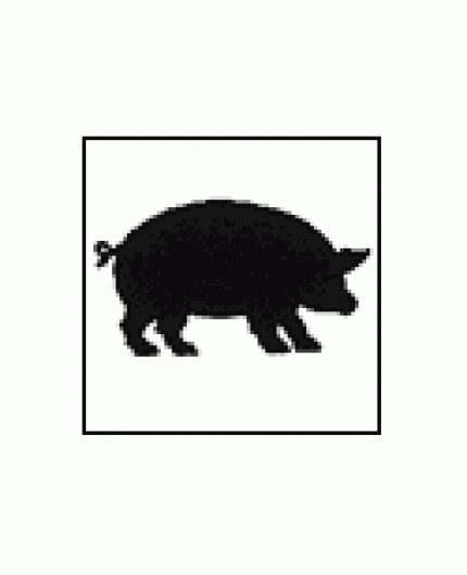 Pig